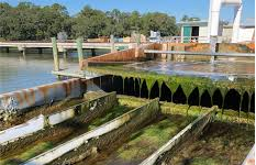Corporate Water Stewardship